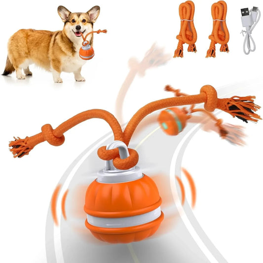 Pet Ball for Dogs Interactive Toys Motion Activate Rolling Ball for Puppy/Small Dogs Automatic Moving Toy USB Rechargeable Toy