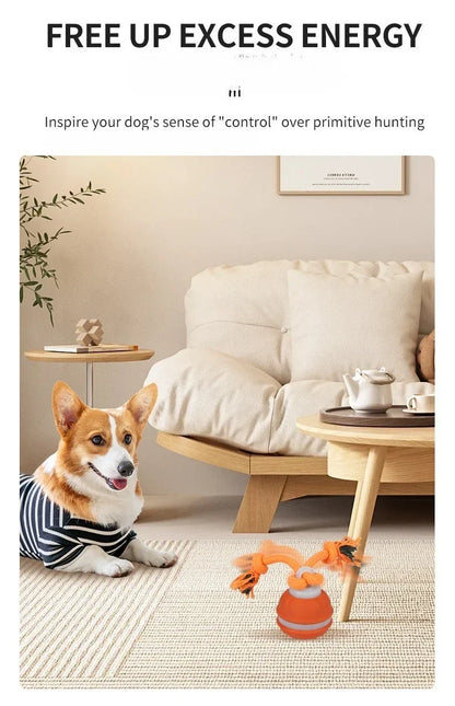 Pet Ball for Dogs Interactive Toys Motion Activate Rolling Ball for Puppy/Small Dogs Automatic Moving Toy USB Rechargeable Toy