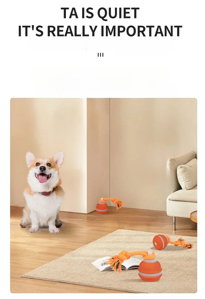 Pet Ball for Dogs Interactive Toys Motion Activate Rolling Ball for Puppy/Small Dogs Automatic Moving Toy USB Rechargeable Toy