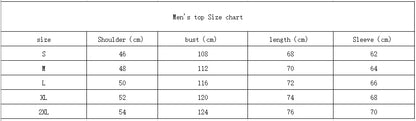 Men's autumn and winter casual loose fashion classic simple airplane pattern printed long sleeved round neck sweatshirt