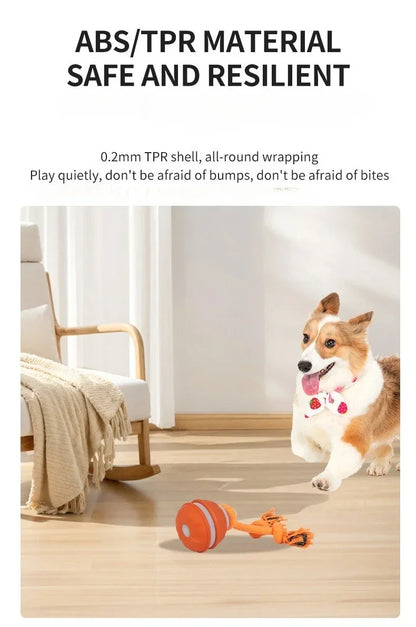 Pet Ball for Dogs Interactive Toys Motion Activate Rolling Ball for Puppy/Small Dogs Automatic Moving Toy USB Rechargeable Toy