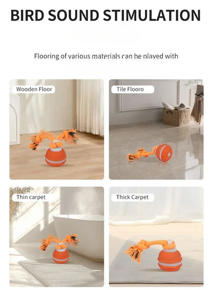 Pet Ball for Dogs Interactive Toys Motion Activate Rolling Ball for Puppy/Small Dogs Automatic Moving Toy USB Rechargeable Toy