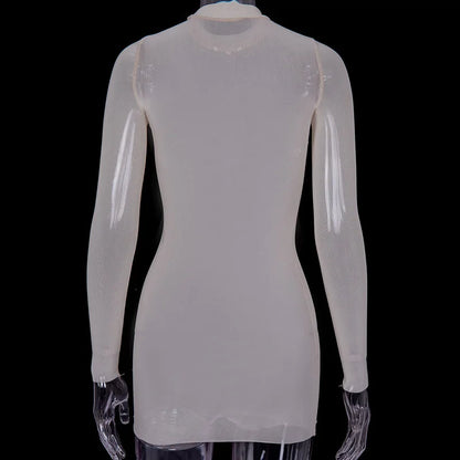 Women Mesh Dress Spring Autumn Sexy Sheer Mesh Long Sleeve Package Hip Sheath Dress Lady Sexy Club Body Wrap Mini Short Vestidos