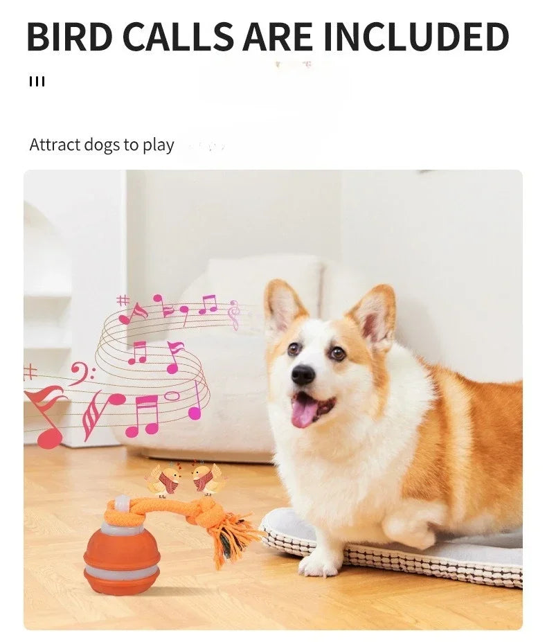 Pet Ball for Dogs Interactive Toys Motion Activate Rolling Ball for Puppy/Small Dogs Automatic Moving Toy USB Rechargeable Toy