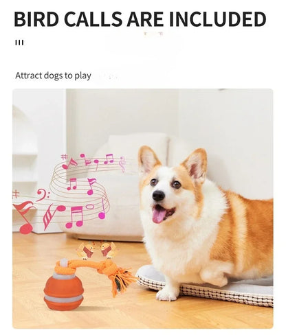 Pet Ball for Dogs Interactive Toys Motion Activate Rolling Ball for Puppy/Small Dogs Automatic Moving Toy USB Rechargeable Toy