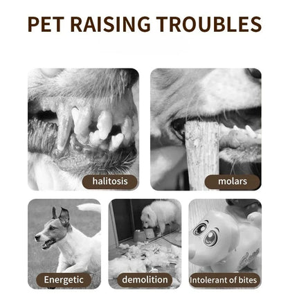 Pet Ball for Dogs Interactive Toys Motion Activate Rolling Ball for Puppy/Small Dogs Automatic Moving Toy USB Rechargeable Toy