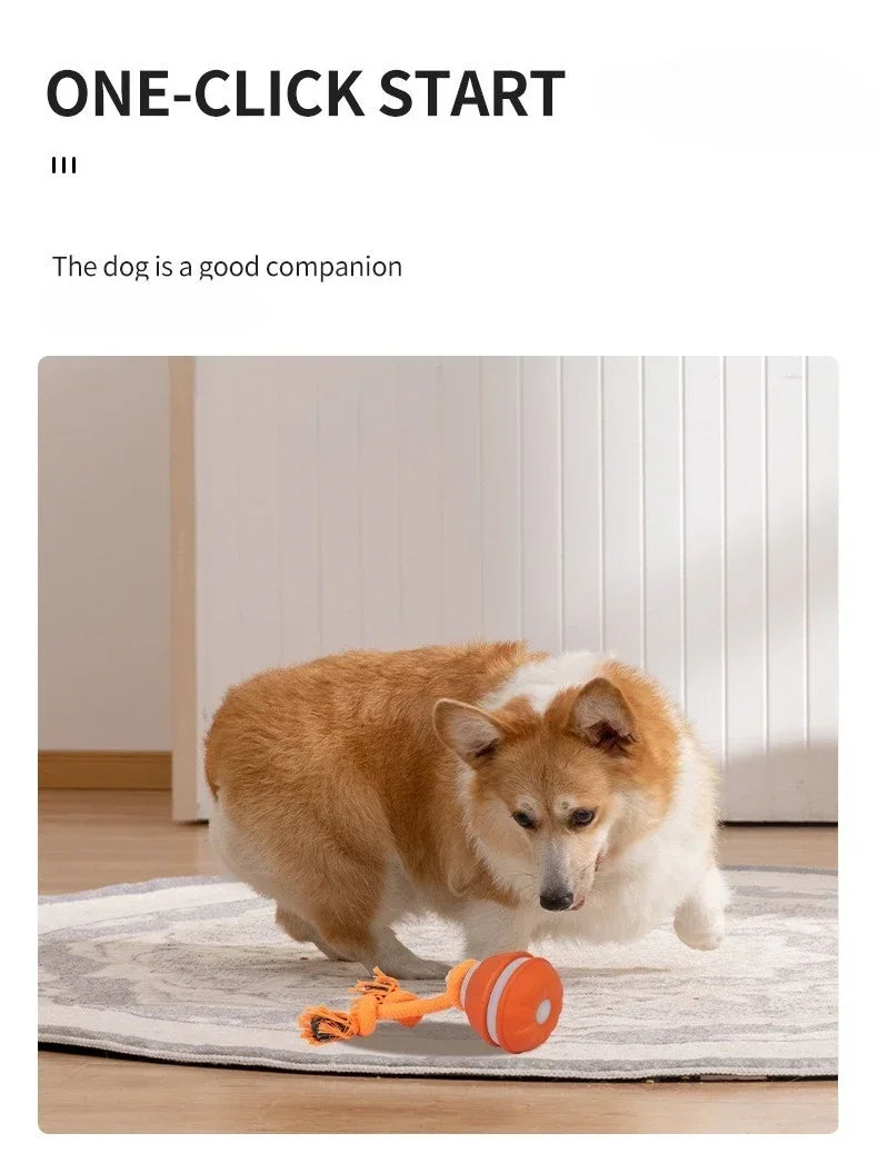 Pet Ball for Dogs Interactive Toys Motion Activate Rolling Ball for Puppy/Small Dogs Automatic Moving Toy USB Rechargeable Toy
